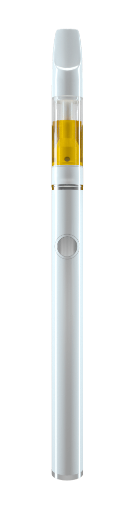 選ぶなら Zirco Disposable リラクゼーショングッズ